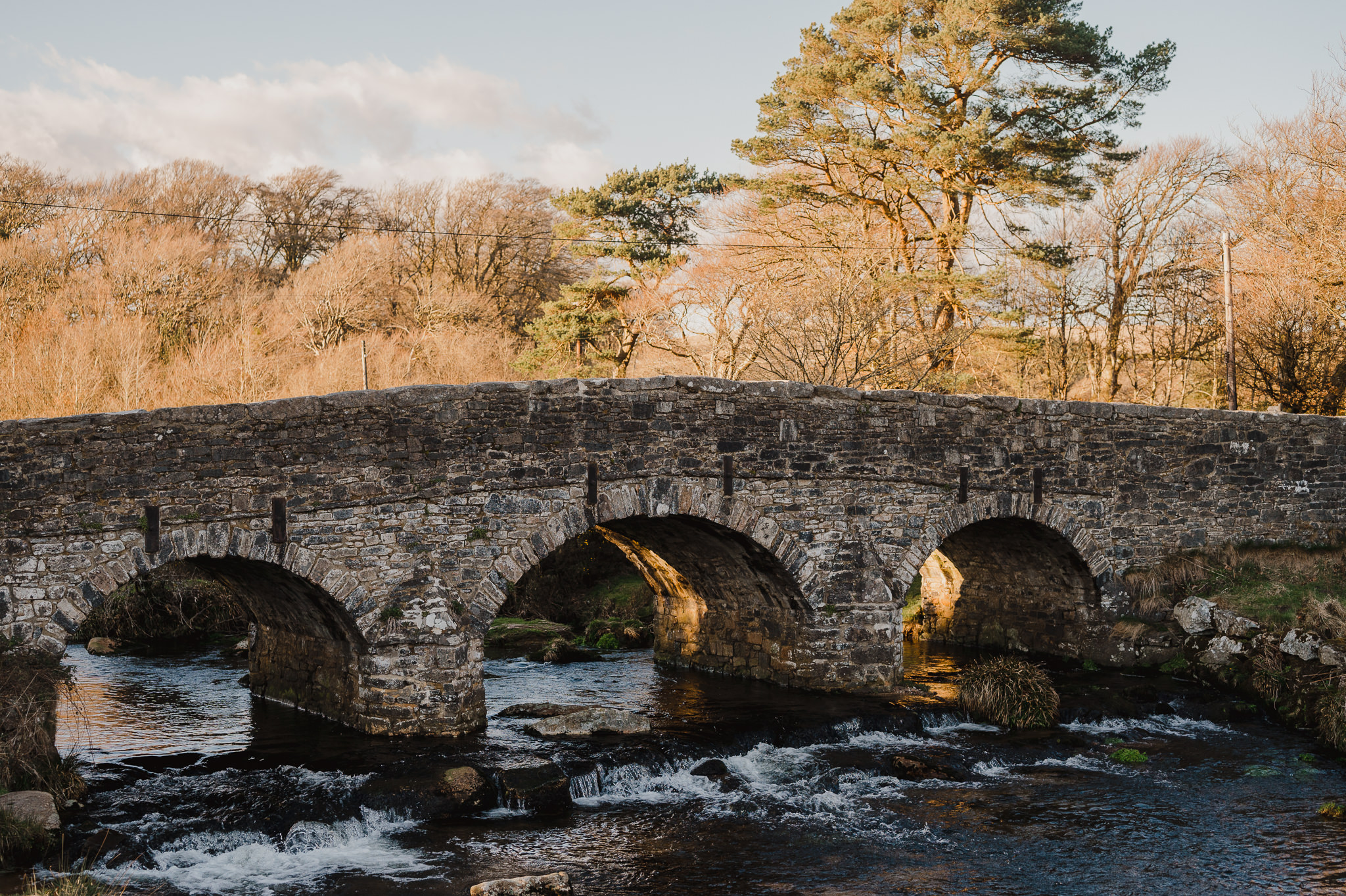 Bridge at Bellever Forest